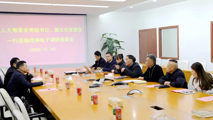 郴州市人大常委會黨組書記、副主任張愛國到炬神電子調(diào)研安全生產(chǎn)工作